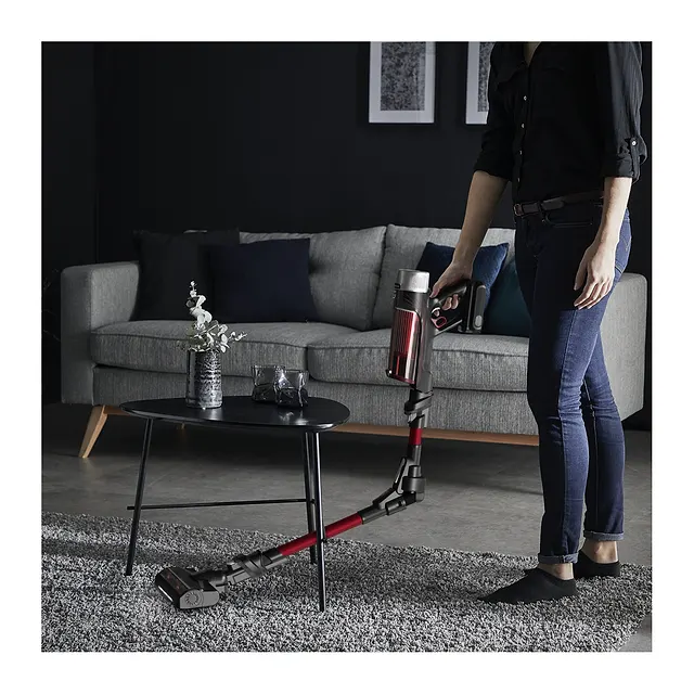 Rowenta X-Force Flex 9.60 Animal Care RH2079, vista 2