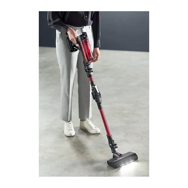 Rowenta X-Force Flex 9.60 Animal Care RH2079, vista 3