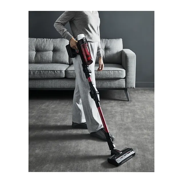 Rowenta X-Force Flex 9.60 Animal Care RH2079, vista 4