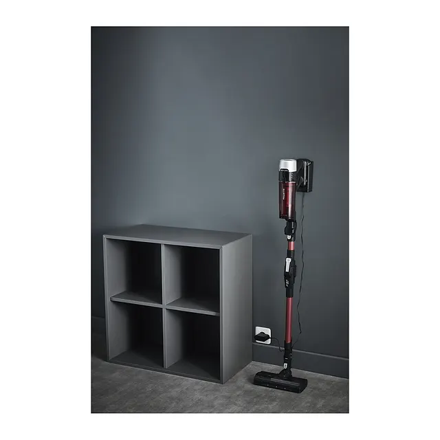 Rowenta X-Force Flex 9.60 Animal Care RH2079, vista 5