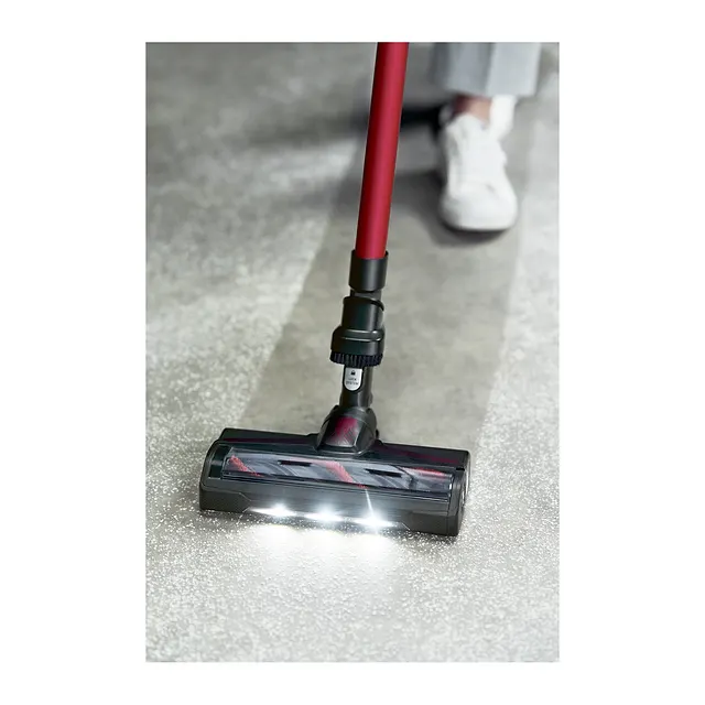 Rowenta X-Force Flex 9.60 Animal Care RH2079, vista 6